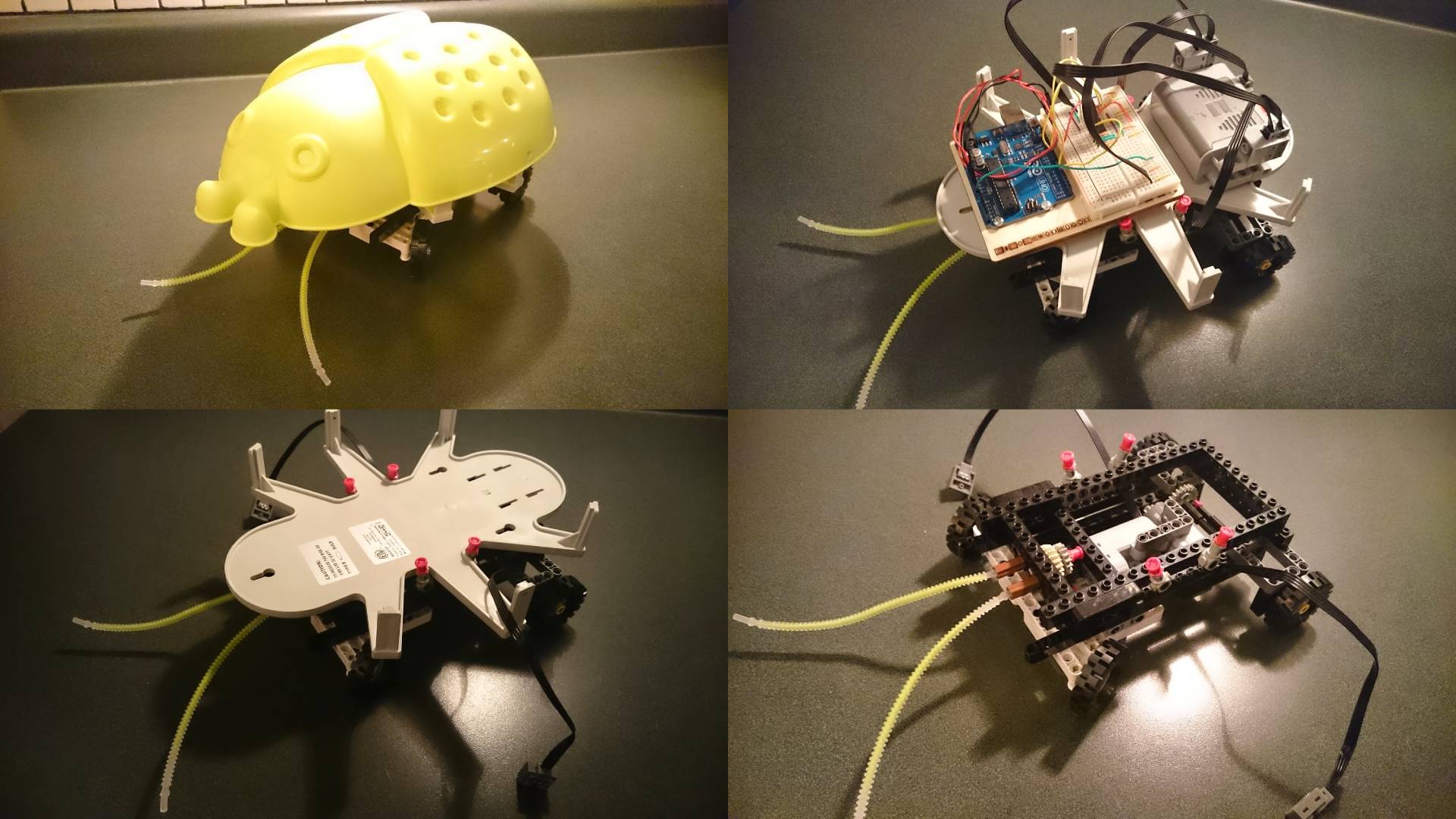 Autonomous Cockroach